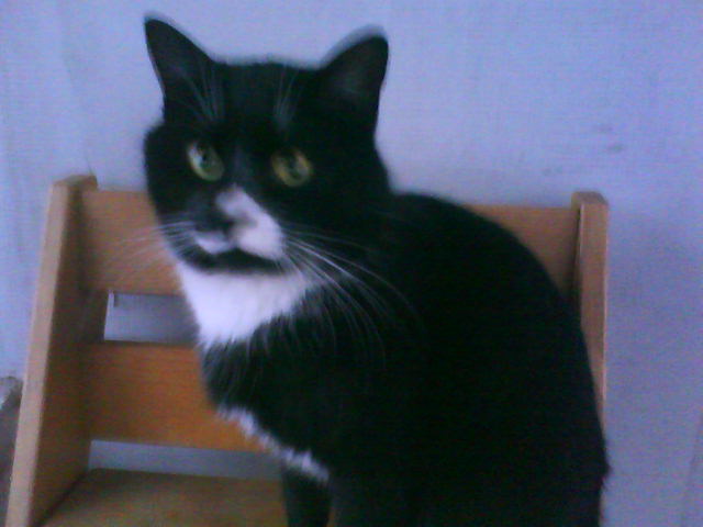 DSC00045.JPG