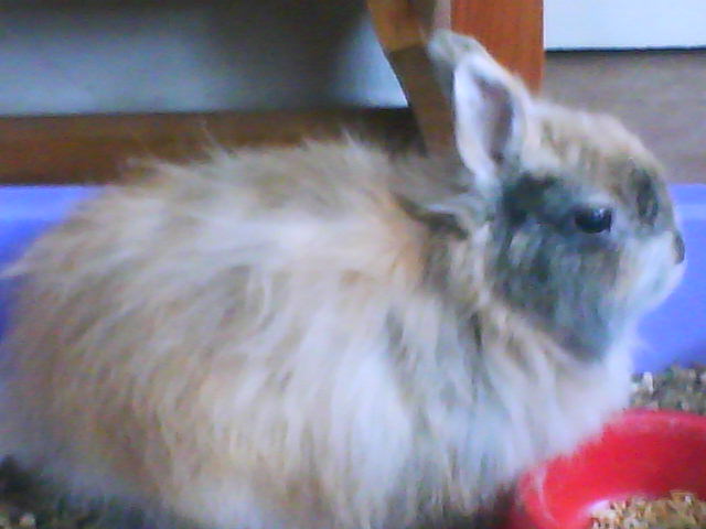 DSC00086.JPG